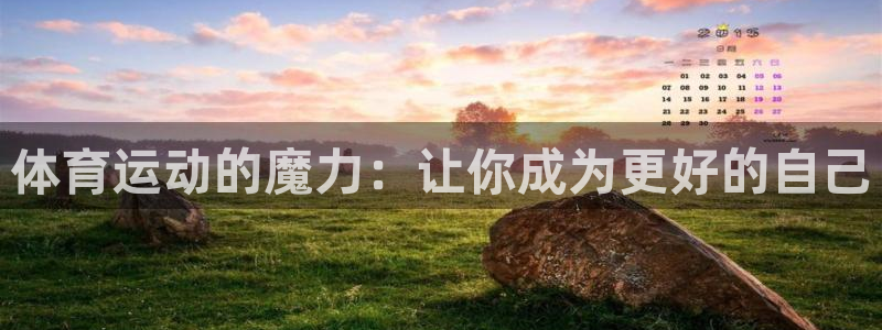 熊猫体育平台