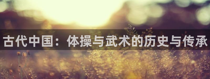 熊猫体育直播nba