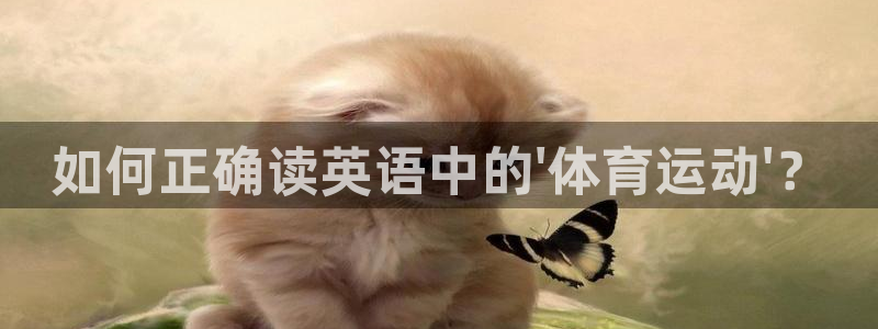 熊猫体育直播nba