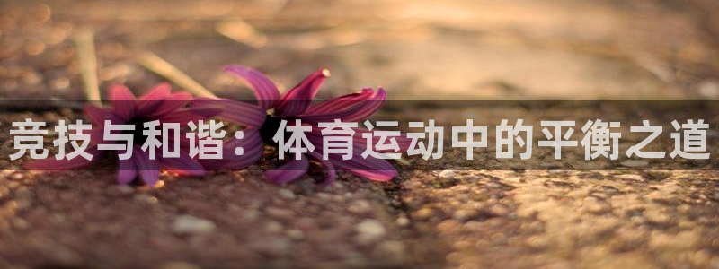 熊猫体育网址