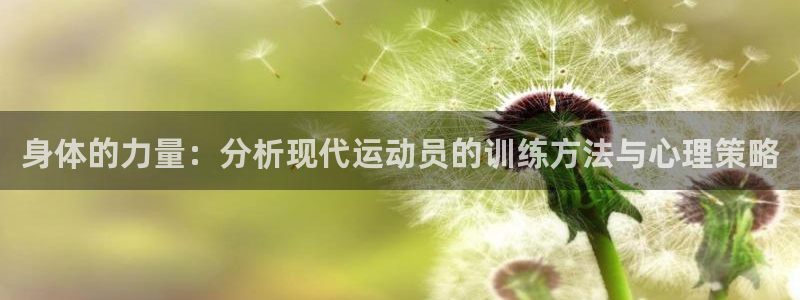 熊猫体育直播