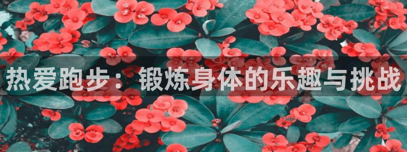 下载熊猫体育