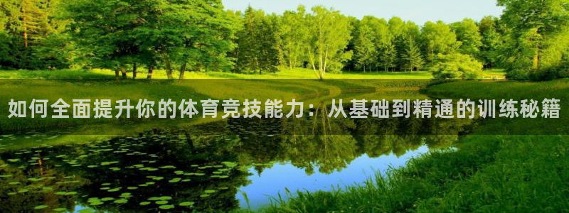 熊猫体育v3.新网页.org