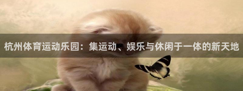 熊猫体育直播