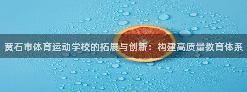 熊猫体育文化有限公司